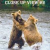 Taken in Alaska, two large bears frolicking