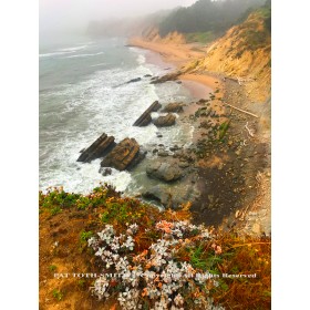 Pacific Coast in Spring